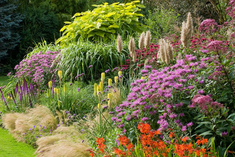 Your Landscape In To A Cutting Garden, Perennial Cutting Garden Design